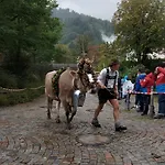 Appartamento Gabriela Allgaeu Immenstadt im Allgäu